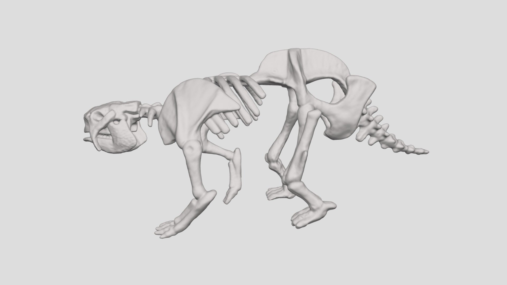 gliptodonte esqueleto vcu 3d 5873 modelo virtual curadoria laboratório virtualcurationlab c2667f7 3D print model - Mito3D