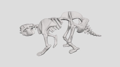 glyptodon skeleton vcu 3d 5873 - model virtual curation lab virtualcurationlab c2667f7 3d print model - Mito3D