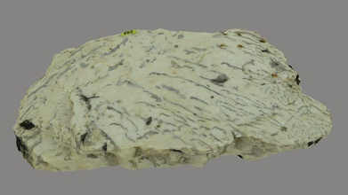 graphique texture brésil - téléchargement gratuit modèle 3d de la lep carena saracarena1 6481dd2 pegmatite &pour l'artiste granit&rdquo 3d print model - Mito3D