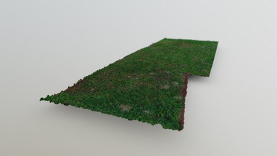 hierba - descargar gratis 3d modelo de mehmet kozal mkozal f50b15d la exploración tierra 4k textura 3d print model - Mito3D