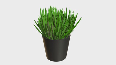 grass pot 1 - buy royalty free 3d model francescomilanese 5df6cd1 production-ready pbr materials textures non overlapping uv layout map provided package quads only geometries no tris ngons formats included fbx obj scenes blend 280 cycles eevee other png alpha object mesh material unwrapped uv-mapped maps image resolutions 2048x2048 made substance painter polygonal 34177 vertices 33460 quad faces 66920 real world dimensions scene scale units cm blender metric 001 uniform applied 3d print model - Mito3D