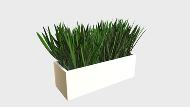 grass pot 2 - buy royalty free 3d model francescomilanese 9b47dc3 nr 1 my collection individual objects each one its own non overlapping uv layout map material pbr textures set production-ready materials provided package quads only geometries no tris ngons formats included fbx obj scenes blend 280 cycles eevee other png alpha meshes unwrapped uv-mapped maps image resolutions 2048x2048 made substance painter polygonal 60888 vertices 59403 quad faces 118806 real world dimensions scene scale units cm blender metric 001 uniform object applied 3d print model - Mito3D