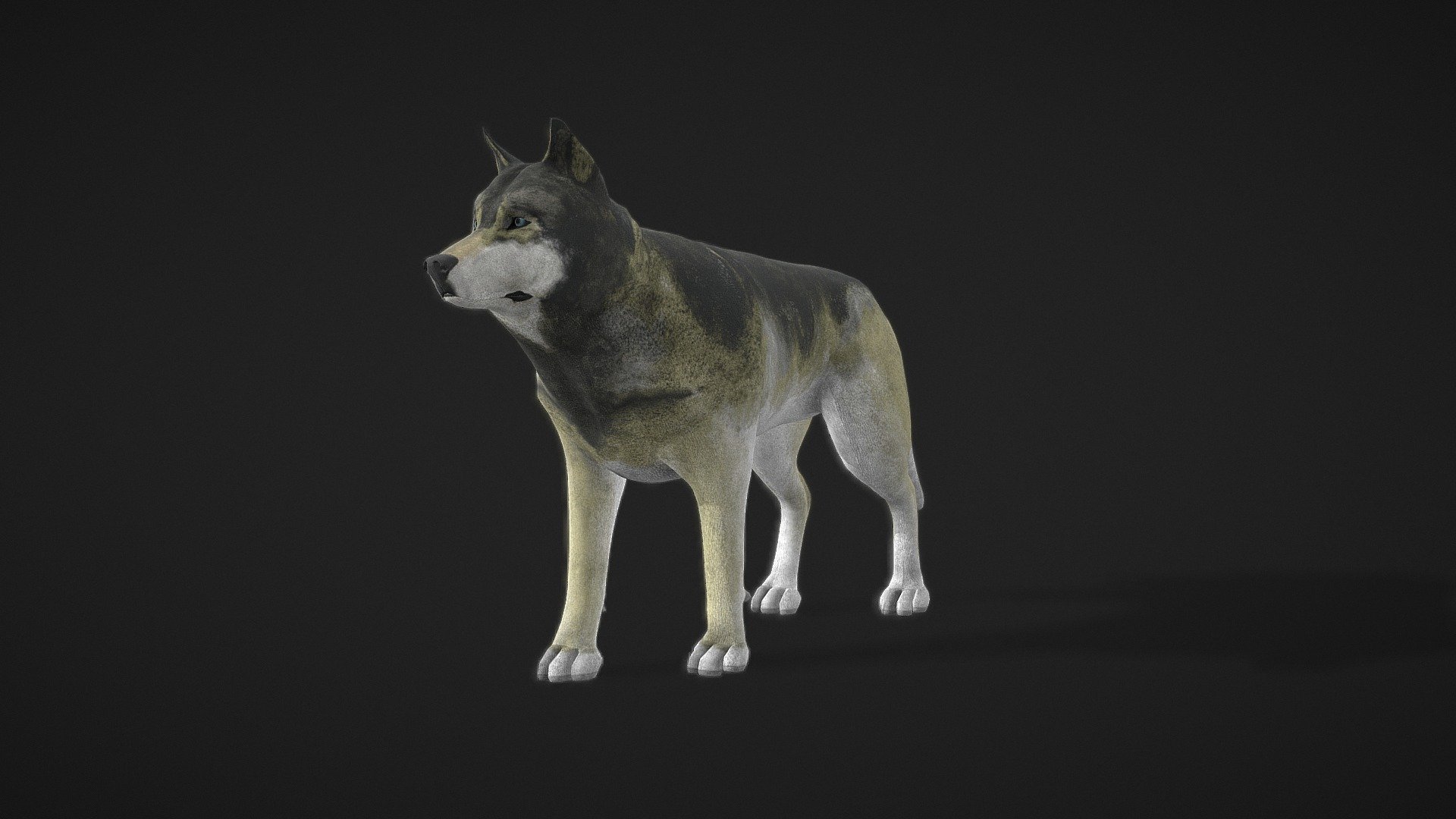 gris réaliste Loup 3d modèle nick021320 nick02145 73a908f 3D print model - Mito3D