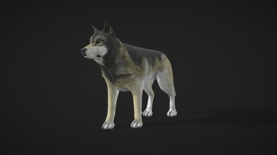 gray realistic wolf - 3d model nick021320 nick02145 73a908f 3d print model - Mito3D