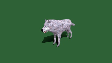 grey wolf rigged animated - download free 3d model rhcreations 56de4df animations made using blender 279 cycles render engine check out my blog https rhcreationstumblrcom 3d print model - Mito3D