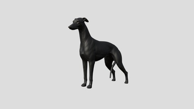 galgo cão Comprar realeza livre 3d modelo mj bronzeado mjtan animal canino cachorro estimação corrida caça 3d print model - Mito3D