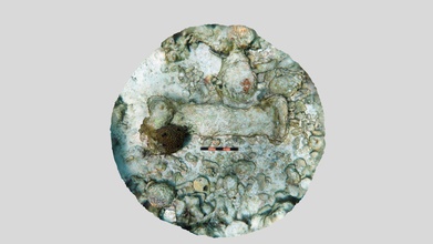 guerrero demir çubuk atış yok2 2019 - 3d model mel fisher Denizcilik Müzesi mfmaritimemuseum 314aa80 bir iki örnek çift başlı shipwreck havana 1827 key largo yakınlarında batan korsan-köle tabanlı iman-sualtı site buldum parça kalsiyum karbonat sıkıştırma deniz yaşamı kaplı özellikle yazın İspanyolca palanqueta bilinen vurdu Haziran oluşturdu ölçek 10 cm 3d print model - Mito3D