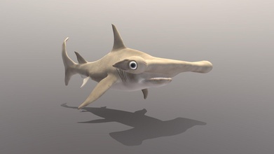 hammerhead shark - buy royalty free 3d model 3danvil 4c9ea3c 3d print model - Mito3D