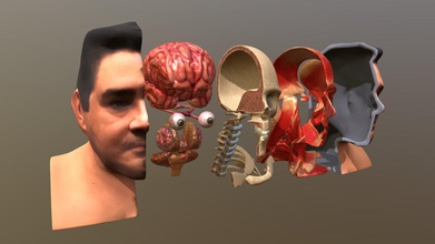head anatomy dissection animation 0001 - buy royalty free 3d model flarar c2ca018 3d print model - Mito3D