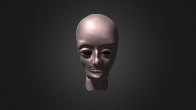 tête de sculpture 2 - téléchargement gratuit modèle 3d barbara klein barbaraklein 562fe33 handsculpted genre alien porté nez 3d print model - Mito3D