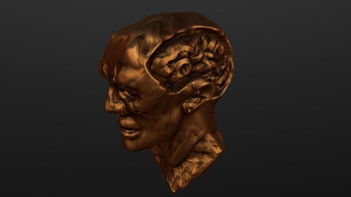 tête esquisser 002 cerveau expos bronze 3d modèle chaitanya Krishnan chaitanyak 7e38e24 3d print model - Mito3D