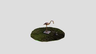 hialeah flamingo - download free 3d model eventhorizonvirtualreality 3a3549a statue located florida there several throughout city one next gardens library 3d print model - Mito3D