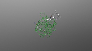 Hirudin trombina complexo 3d modelo wstuds 354fc0e 3d print model - Mito3D