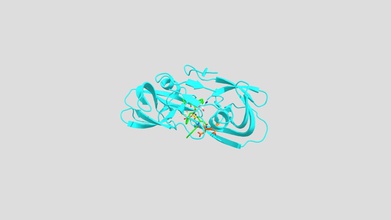 o hiv-1 protease - modelo 3d wackieju dc5b53e dimeric enzima responsável proliferação retrovírus processo de gag gag-pol durante virion maturação organização apresenta algumas importantes ligantes interagir proteína, principal inibidor ativo sites coordenadas molécula trabalhar com êxito, a fim desenvolver medicamentos anti-sida abrandar progressão do vírus hiv diagrama mostra características-chave ajudar droga chamada saquinavir tratar e aids 3d print model - Mito3D