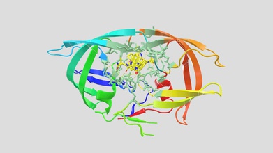 hiv-1-protease saquinavir - 3d-Modell justin 300455509 33107cf hiv retrovirus-aids führen kann die wichtiger Bestandteil virus-Replikation enthält, Liganden wie roc fmt so4 Abbildung zeigt nur seine roc-ligand wichtigsten protein-ligand-aktive Bindungsstelle beide klassifiziert Sie allosterische saquinavir-inhibitor fungiert analog-cleavage-site-hiv-1-protease wirkt kompetitiven inhibitor der cleavage site-hiv-gag-pol-polyproteins bindet aktiven Liganden-Bindungsstelle gebildet, Untereinheiten enzymatisch aktive dimer hemmt Enzym-Aktivität Hemmung verhindert Spaltung viralen polyproteins resultierende Bildung unreife nicht-infektiöse Viruspartikel doi 102165 00003088-199834030-00002 102147 hivs79956 101016 jjmgm200508008 00003495-199652010-00007 101021 ci100200u 3d print model - Mito3D