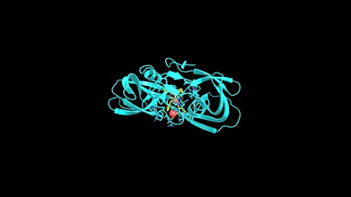 de la protéase du vih saquinavir - modèle 3d freyaboobac f3ec661 le vih-1 réaction importante a eu un impact positif nombreuses vies premier approuvé par fda inhibiteur traiter l'infection à été crucial d'étendre les patients atteints durées vie met en relief l'interaction entre protéase, 3d print model - Mito3D