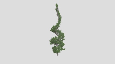 hollywood juniper topiary tree - buy royalty free 3d model datec studio b730ebe 3d print model - Mito3D