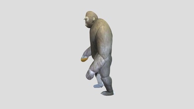 homo erectus-20201222 - download free 3d model linyy linyy011 912ff36 3d print model - Mito3D