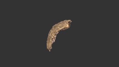 2501 homo sapiens swanscombe3c5ac85 1rp58-3 - 3d model rla Arkeoloji-Arkeoloji arkaik konum swanscombe, kent, İngiltere 200 000 yaş- 300 yıl bp malzeme epoksi reçine döküm hayır notlar Katalog 25011rp58-3 dökme kafatası sağ parietal üç aynı tek parçalar genç kadın iki parça 1935-1936 alvan t keşfedildi marston üçüncü 1955 keşfetti gibson j wymer heidelbergensis da gizli wenner-gren foundation programı Üniversitesi pennsylvania Müzesi yaptı öğretim toplama araştırma laboratuvarları Arkeoloji Üniversitesi, Kuzey carolina chapel hill jordyn gri 3d print model - Mito3D