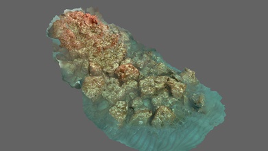 honolii barriera corallina mensola Scarica gratuito 3d modello mega laboratorio uh hilo sviluppato dr John ustioni burnslab 0fd310d 3d print model - Mito3D