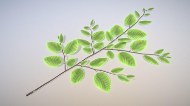 hornbeam branch high-poly - buy royalty free 3d model vis-all-3d vis-all tree green plant leaf isolated 3dhaupt software-service-john-gmbh leaves 3d print model - Mito3D