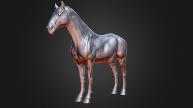 horse anatomy skin high-poly mesh - buy royalty free 3d model vincent vincentpage stl sculpt base toy figure basemesh obj print ztool printable-model zbrush highpoly 3d print model - Mito3D