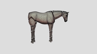 horse sections - 3d model aminetti d065081 3d print model - Mito3D