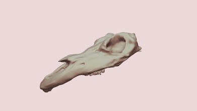 horse skull more like long - download free 3d model theslothsmile 6c47f5d mostly based trevor henderson 3d print model - Mito3D