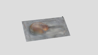 horseshoe crab tachypleus tridentatus - download free 3d model ffishasia 29ea71f 3d print model - Mito3D