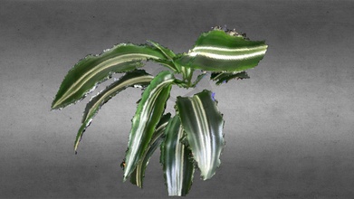 la casa de las hojas planta - 0,5 mm descargar gratis 3d modelo jlagrone 0da42b5 escanear utilizando scandy pro escaneo 3d print model - Mito3D