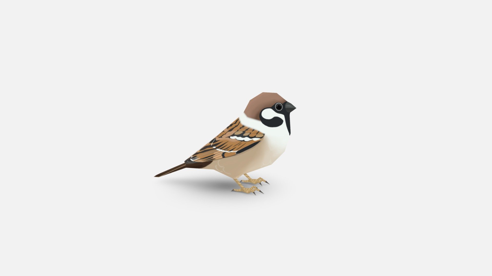 3d sparrow