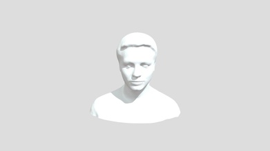 human face - 3d model fighterboy avatar 722fe3b 3d print model - Mito3D