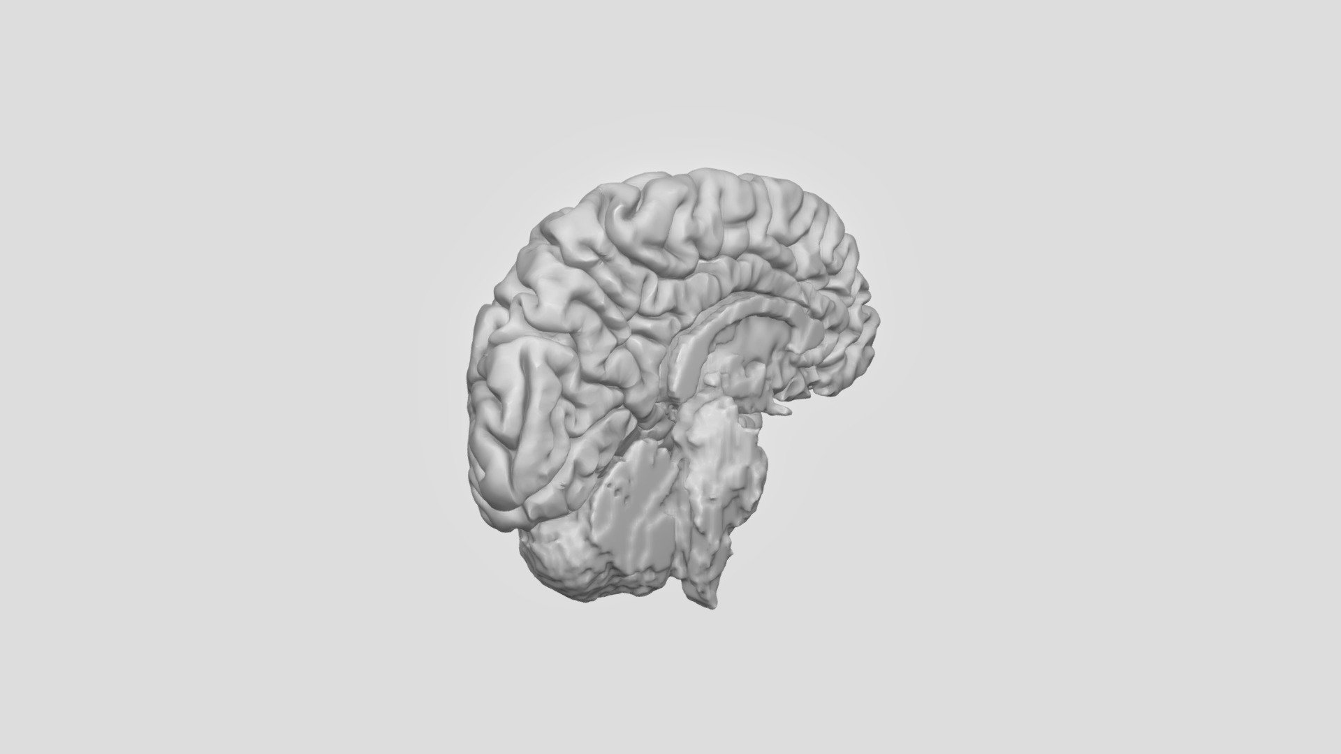 human left brain hemisphere mri - 3d model jjtanner 3d22acc 3D print model - Mito3D