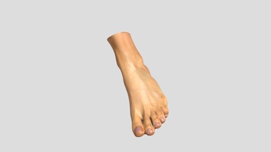 human leg 3d scan - buy royalty free model sieluroho 9c25013 3d print model - Mito3D