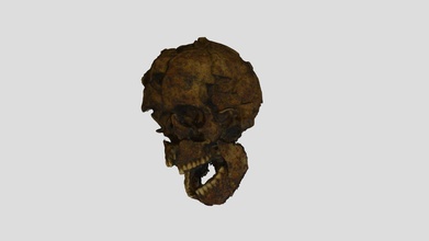 humano cráneo descargar gratis 3d modelo Valpinna 4fe65c3 3d print model - Mito3D