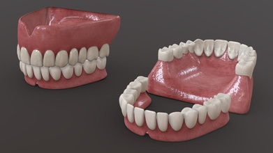 humano dentes Comprar realeza livre 3d modelo rosado rossty3d Projeto cc44118 3d print model - Mito3D