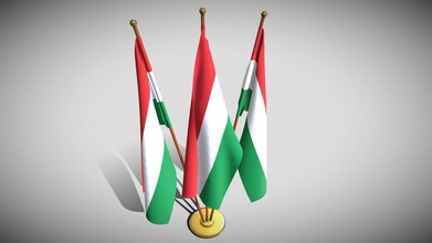 Ungheria bandiera pacco acquistare royalty gratuito 3d modello dragosburian 4651cc1 3d print model - Mito3D