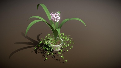 hyacinth - download free 3d model scadl & 627b8fd 3d print model - Mito3D