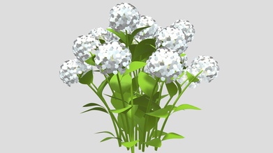 hortensia macrophylla 3d modelo marta4 956d2cf 3d print model - Mito3D