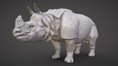 indian rhinoceros sculpt - buy royalty free 3d model viverna 362 4845ecb 3d print model - Mito3D