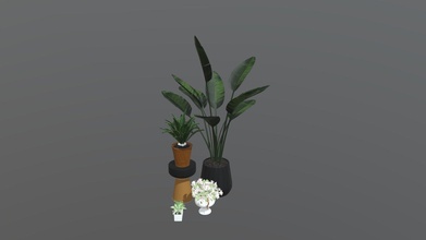 indoor plants pack - buy royalty free 3d model evelynlzh 6cf600c 3d print model - Mito3D