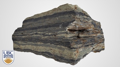 eingebettet Schlammstein fine grained Sandstein 3d Modell Nichole Muttergehäuse ubc Geologie e3019c3 3d print model - Mito3D