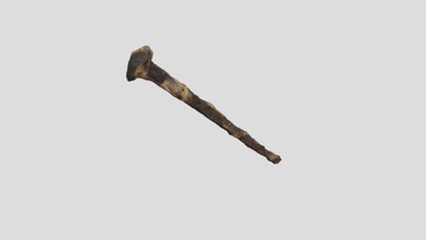 iron spike vcu 3d 4727 - download free model virtual curation lab virtualcurationlab 71b375a recovered root cellar quarter enslaved servants associated fairfiled manor house 44gl24 dates first half 18th century 3-d scanned go scan 50 august 12 2019 center archaeology preservation education cape fairfield foundation courtesy 3d print model - Mito3D