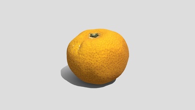 japanese orange 3d scan - download free model tanophotogrammetry 3ed203b 3d print model - Mito3D