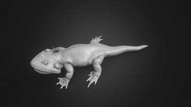karaurus 3d impression acheter royalties libre modèle collant sla fabricant paléontologie jurassique amphibie paléoart fabrication animal dinosaure lepospondyl 3d print model - Mito3D