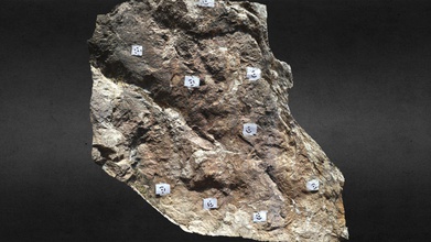 kaya resimleri sosta 2 roccia arte dettagli Scarica gratuito 3d modello alper basiran petaaerial 108a102 3d print model - Mito3D