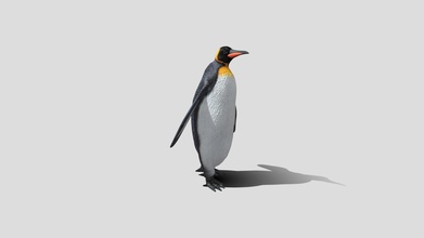 king penguin - buy royalty free 3d model gamoo becb407 3d print model - Mito3D