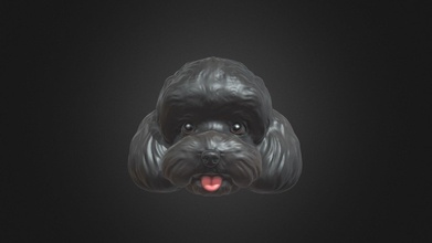 kitty's poodle model - 3d seed mi seedbymi 4ce69e6 3d print model - Mito3D