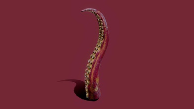 kraken tentacle animated - buy royalty free 3d model lazanja 52cdb99 produced game https quexlawitchio tentative made work unreal engine but any other supports pbr metal rough there 2 use cases attack animations one standing upright attacking ground second emerging wall slamming 3d print model - Mito3D