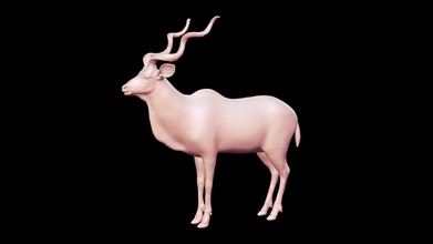 kudu antelope basemesh 3d model - buy royalty free peternak peternak3d a84aced 3d print model - Mito3D